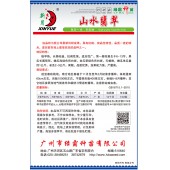 广州绿霸 山水翡翠节瓜种子 极早熟 长势旺盛 抗病性强 嫩瓜浅绿色有白斑 老瓜翠绿有白斑无蜡粉 节瓜种子 100粒装