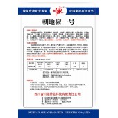 四川川椒 朝地椒一号辣椒种子 高抗病毒病 炭疽病 丰产性突出 加工香辣酱 红油辣椒 火锅底料 辣椒面等等是最佳原料 辣椒种子 5克装