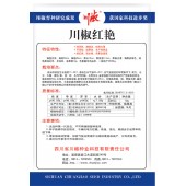 四川川椒 川椒红艳色素椒种子 色素椒专用品种 特早熟 辣味浓 抗病力强 脱水快 色素含量高 辣椒种子 10克装