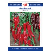 四川川椒 川椒红艳色素椒种子 色素椒专用品种 特早熟 辣味浓 抗病力强 脱水快 色素含量高 辣椒种子 10克装