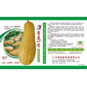 广州绿霸 粤美一号大果蜜本南瓜种子 瓜更大 品质好 产量更高 南瓜种子 50克装