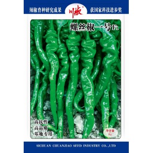 四川川椒 螺丝椒一号辣椒种子 早熟 螺丝椒新品种 高抗性 高品质 亩产2500kg左右 螺丝椒种子 8克装