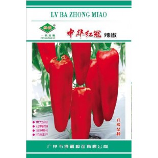 广州绿霸 中华红冠辣椒种子 早熟 果粗牛角型 果大均匀 红果鲜艳 货架期长 抗病丰产 辣椒种子 1000粒装