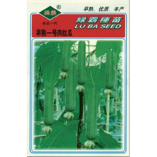广州绿霸 早熟一号肉丝瓜种子 早熟 瓜长30cm左右 瓜形直 瓜皮浅绿色 耐热耐肥 适应性强 丝瓜种子 20克装