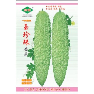 广州绿霸 玉珍珠苦瓜种子 早熟 雌性强 抗病 瘤粗肉厚 特丰产 商品性一流 苦瓜种子 50粒装