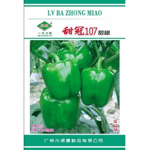 广州绿霸 甜冠107甜椒种子 中早熟大果型甜椒新品种 肉厚 大果单果重200-250克 耐寒 耐湿 抗病性强 丰产性好 出口型 甜椒种子 5克装