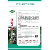 广州绿霸 绿霸早冠圆茄种子 早熟 果实卵圆形 结果率高 口感好 耐储运 茄子种子 1000粒装