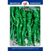 四川川椒 螺丝椒一号辣椒种子 早熟 螺丝椒新品种 高抗性 高品质 亩产2500kg左右 螺丝椒种子 8克装