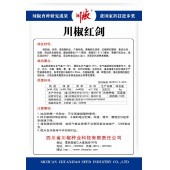 四川川椒 川椒红剑辣椒种子 中熟 羊角形 特抗病 抗热 采收期长 青椒颜色深绿 红椒鲜红靓丽 肉厚 辣椒种子 5克装