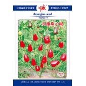 四川川椒 珠子椒1号辣椒种子 早中熟 辣味浓 抗病力强 干椒品质优 鲜红椒2500kg左右 辣椒种子 8克装
