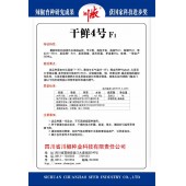四川川椒 干鲜4号辣椒种子 深绿色长线椒品种 早中熟  果形顺直 味辣 一般亩产3500kg 辣椒种子 8克装