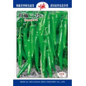 四川川椒 川椒三号辣椒种子 早中熟 果长22cm,嫩果深绿色 长圆柱形 果面光滑 肉厚 品质好 辣椒种子 8克装