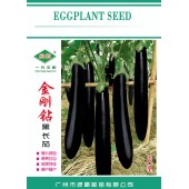广州绿霸 金刚钻黑长茄种子 极早熟 结果率高 抗病性好 果皮黑亮 耐寒 耐热 茄子种子 1000粒装