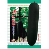 广州绿霸 新黑优100铁心冬瓜种子 瓜炮弹型 长70-85厘米 瓜皮墨绿色 心室小 肉质紧实 特耐贮运 冬瓜种子 200粒装