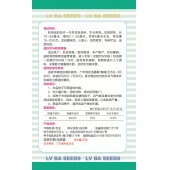 广州绿霸 新黑优100铁心冬瓜种子 瓜炮弹型 长70-85厘米 瓜皮墨绿色 心室小 肉质紧实 特耐贮运 冬瓜种子 200粒装