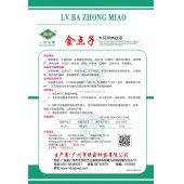 广州绿霸 金点子大花点肉丝瓜种子 瓜条顺直 肉厚 均匀 品质好 出口型 瓜长30-35cm 大花点 口感好 丝瓜种子 10克装