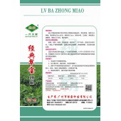 广州绿霸 经典翠宝辣椒种子 早熟大果薄皮泡椒品种 果色翠绿 耐寒 耐热 耐湿 抗病性强 果实膨大速度快 辣椒种子 1000粒装