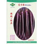 广州绿霸 东方韵茄子种子 该品种亲本从国外引进 具有果型更靓 颜色更好 抗性更强 产量更高的高端茄瓜新品种 茄子种子 1000粒装