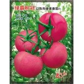 广州绿霸 绿霸粉冠番茄种子 无限生长型 抗TY 熟果粉红亮丽 单果重250克左右 果实坚硬 一致性好 耐裂果 亩产可达10000公斤以上 番茄种子 1000粒装