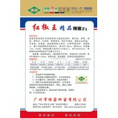 广州绿霸 红椒王大椒种子 最新选育的青红两用型黄皮大椒极优品种 高抗病 耐寒 耐寒 耐雨水 果黄绿色 红果鲜艳亮丽 辣椒种子 5克装
