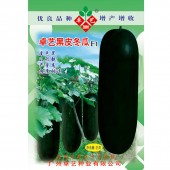 广州卓艺 杂交黑皮冬瓜种子 短棒型 颜色光亮 出口型专用品种 农科院老专家选育 颜色黑亮 60-65厘米长 瓜形靓 棱沟很浅 耐运 冬瓜种子 25克装