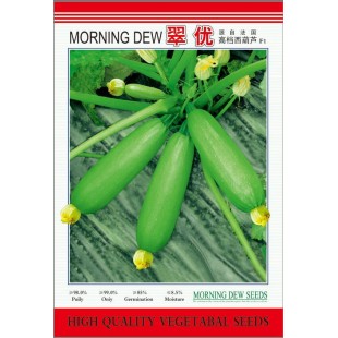 广州绿霸 翠优高档西葫芦种子 源自法国 高档西葫芦 中早熟 抗病力强 耐寒性好 不易早衰 产量极高 西葫芦种子 50克装