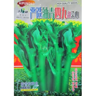 广东爱普农 严选四九甜菜心种子 叶柄短 早熟 耐热 耐湿 耐病 播种至初收28-30天 菜心种子 400克装
