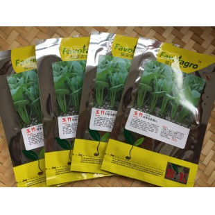 揭阳福宝 日本引进杂交一代小青菜种子 生长快速 叶片偏圆形 油亮 直立性好 叶柄圆粗 不易断 适合捆绑 抗性好 口感佳 青菜种子 40克装