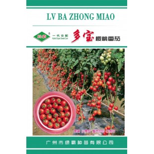 广州绿霸 多宝樱桃番茄种子 无限生长型 鲜红亮丽 果实正圆形 单果重18-25克 耐裂果 糖度高 硬度好 特耐贮运 番茄种子 300粒装