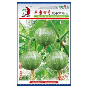 广州绿霸 丰园四号嫩早南瓜种子 早熟 耐寒 果实膨大快 口感脆嫩 肉厚 品质优 果实浅绿带花斑 南瓜种子 10克装