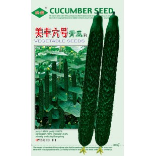 广州绿霸 美丰六号青瓜种子 抗热性顶尖青瓜新品种 中早熟 耐热 耐湿 抗病性强 瓜把极短 口感脆甜 亩产可达10000公斤以上 青瓜种子 20克装