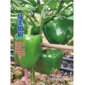 揭阳福宝 陆王甜椒种子 综合抗性佳 生长旺盛 坐果集中 灯笼型 肉厚 单果重可达250克左右 耐热性强 甜椒种子 1000粒装