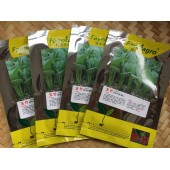 揭阳福宝 日本引进杂交一代小青菜种子 生长快速 叶片偏圆形 油亮 直立性好 叶柄圆粗 不易断 适合捆绑 抗性好 口感佳 青菜种子 40克装