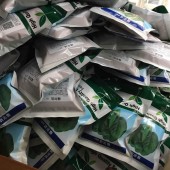 揭阳福宝 福尔达菠菜种子 中早熟 最新荷兰引进杂交一代 耐抽苔性好 产量高 适应性广 菠菜种子 300克装