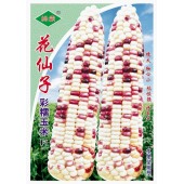 广州绿霸 花仙子彩糯玉米种子 高产耐热高抗病 无渣 清香可口 适合鲜食和速冻 玉米种子 200克装