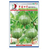 广州绿霸 丰园四号嫩早南瓜种子 早熟 耐寒 果实膨大快 口感脆嫩 肉厚 品质优 果实浅绿带花斑 南瓜种子 10克装