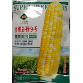 广州绿霸 金镶玉甜9号玉米种子 单穗重约400-500克 籽粒黄白相间 果皮薄 脆嫩香甜 风味极佳 产量高 玉米种子 200克装