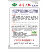 广州绿霸 南粤大椒种子 果长可达30厘米 最大单果重可达180克 前后期果实大小差异不大 比一般黄皮椒采收期长一个月左右 抗病性强 黄皮椒种子 10克装