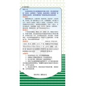 广州绿霸 金果蜜本南瓜种子 大果型 瓜个大 纯度高 品质好 亩产可达2500公斤以上 蜜本南瓜 50克装