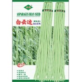 广州绿霸 白云边夏秋型油白豆角种子 高抗病 耐热性好 生长势强 上市卖价高 特丰产 豆角种子 200克装