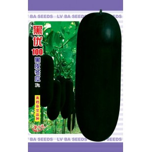 广州绿霸 黑优100黑皮冬瓜种子 长60-80厘米 横径30-35厘米 瓜皮墨绿色 特耐贮运 品质优良 冬瓜种子 50克装