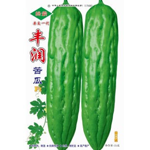 广州绿霸 丰润苦瓜种子 高抗病 特耐热 瓜条粗长 肉厚 光泽度好 结果能力强 苦瓜种子 25克装