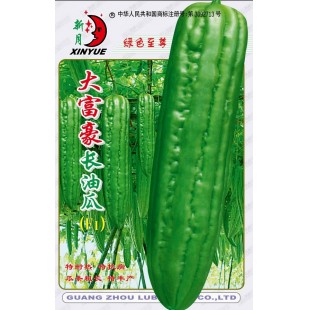 广州绿霸 大富豪长油瓜种子 夏秋种植优势明显 特耐热 特抗病 瓜条粗长 皮色浅绿有光泽 肉厚 头尾均匀 耐贮运 苦瓜种子 40克装
