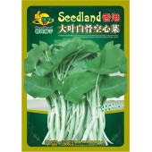 深圳喜良 香港大叶白骨空心菜香菜种子 生长快 耐热 耐寒 耐风雨 纤维少 肉质柔嫩 空心菜种子 500克装