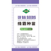 广州绿霸 黑优100黑皮冬瓜种子 长60-80厘米 横径30-35厘米 瓜皮墨绿色 特耐贮运 品质优良 冬瓜种子 50克装