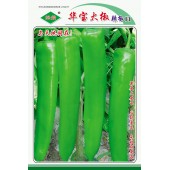 广州绿霸 华宝大椒辣椒种子 果更长更大 中早熟 耐寒 耐热 耐湿 果黄绿色 粗长牛角形 果长23-30cm  辣椒种子 10克装