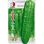 广州绿霸 大富豪长油瓜种子 夏秋种植优势明显 特耐热 特抗病 瓜条粗长 皮色浅绿有光泽 肉厚 头尾均匀 耐贮运 苦瓜种子 40克装