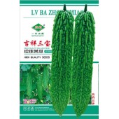 广州绿霸 吉祥三宝珍珠苦瓜种子 早熟 单瓜重约500克 果皮绿色 亮度好 肉厚 耐热耐湿 丰产稳产 50粒装 苦瓜种子
