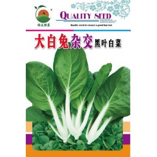 广州绿友 大白兔杂交黑叶白菜种子 叶片黑亮 叶梗光滑 白度好 植株紧凑 株形好 白菜种子 200克装