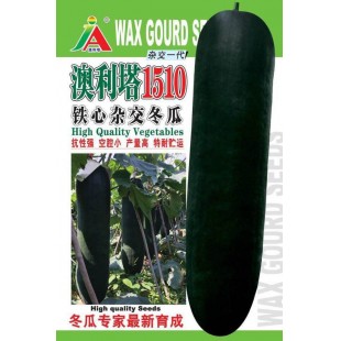 清远清蔬 澳利塔1510杂交黑皮冬瓜种子 抗病性强 果实炮弹型 果长可达100厘米 横径约23cm 最大单瓜可达30kg以上 冬瓜种子 15克装